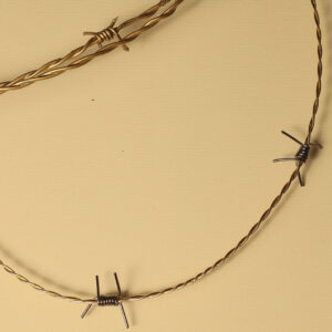 COLAR ARAME FARPADO